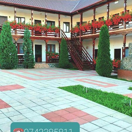 Cris & Mona Hotel Săpînţa Eksteriør billede