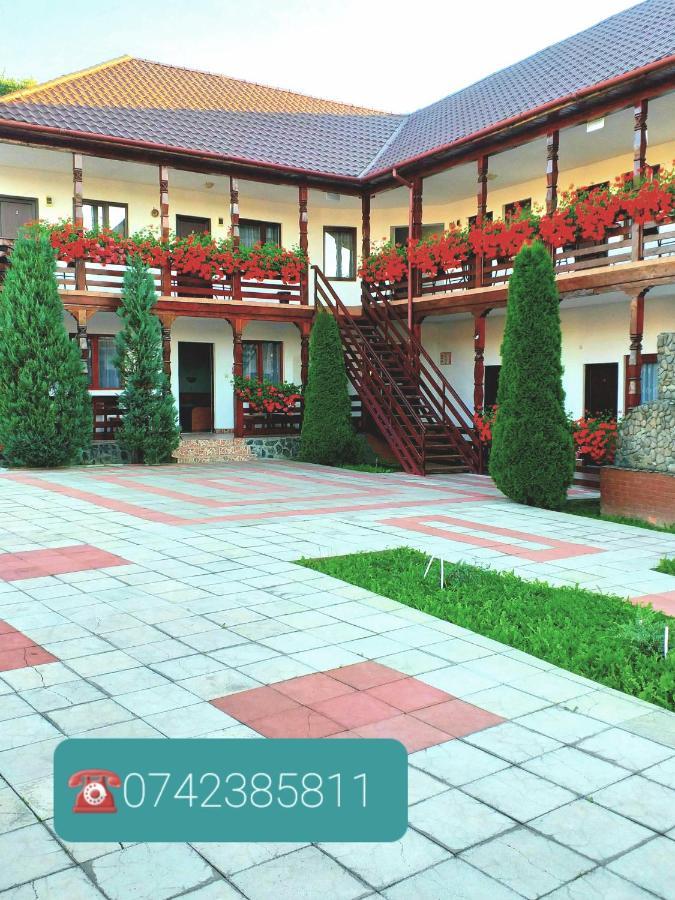Cris & Mona Hotel Săpînţa Eksteriør billede