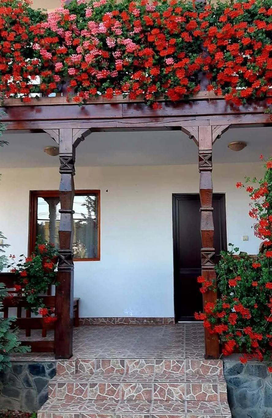 Cris & Mona Hotel Săpînţa Eksteriør billede