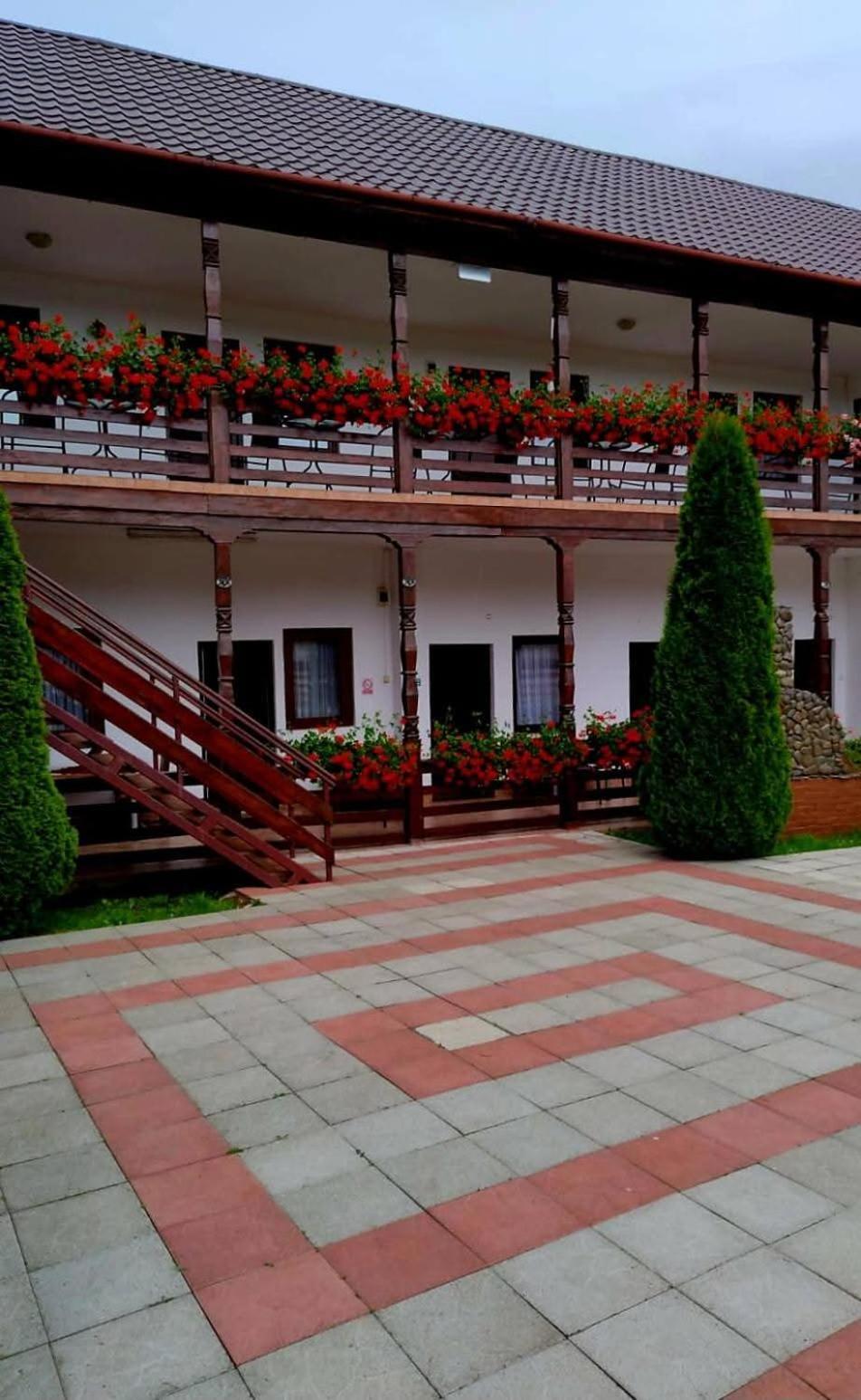 Cris & Mona Hotel Săpînţa Eksteriør billede