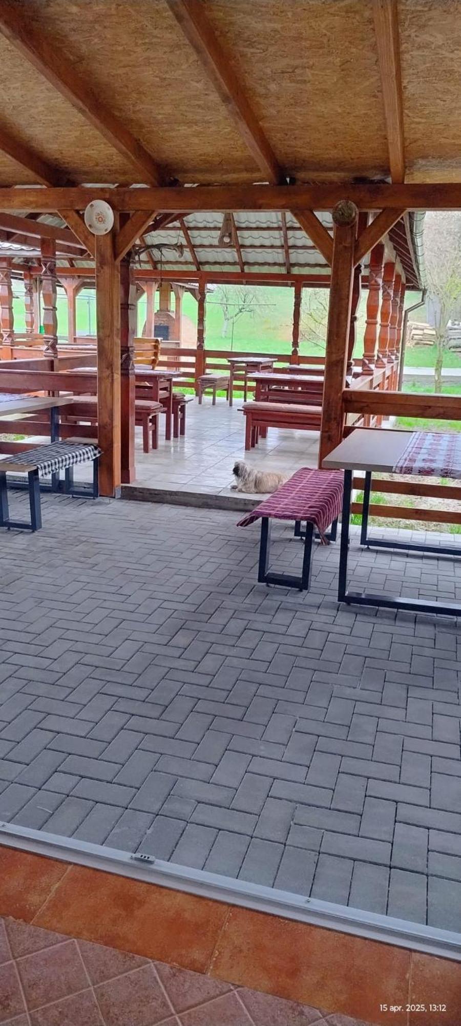Cris & Mona Hotel Săpînţa Eksteriør billede